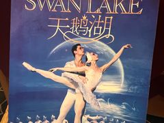 -交通银行前滩31演艺中心