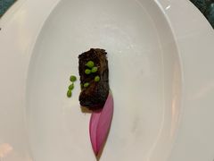-诺莱仕游艇会