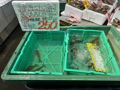 -南纪白浜Toretore市场