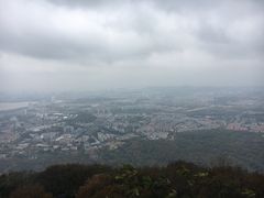 -紫金山山顶公园