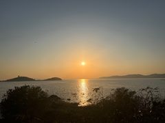 -上海市保健医疗中心