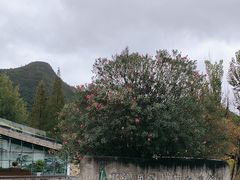 -贵阳市花溪国家城市湿地公园