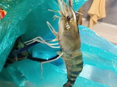 -王四营海鲜市场