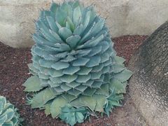 -南通洲际绿博园