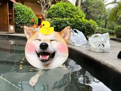 -福州贵安·温泉世界