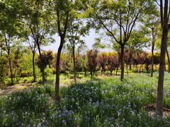 -天津东丽湖风景区