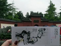 -洛阳白马寺