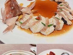 -鲤院·新中式美学·庭院餐厅(夫子庙店)