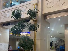-碧中海汤泉汗蒸酒店