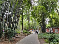 -望江楼公园