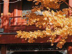 -北京石刻艺术博物馆(五塔寺)