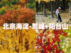 -北京鹫峰国家森林公园