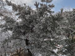 -崂山巨峰游览区
