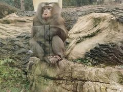 -黔灵山公园