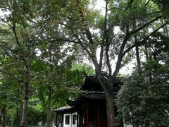 -汇龙潭