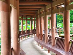 -龙头寺公园