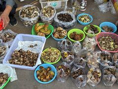 -南坛综合农贸市场