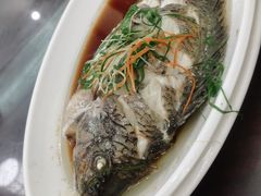 -龙记烤鸭店(新民路店)