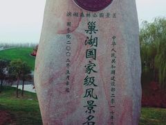 -合肥滨湖国家森林公园