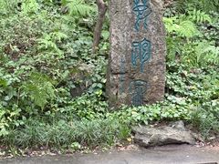 -南山风景名胜区