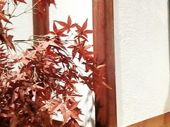 -江渔儿酸菜鱼专门店(明珠广场店)