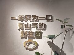 -花菇朵 ll 野生菌锅·精品滇菜(后沙峪店)