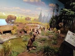 -陕西自然博物馆