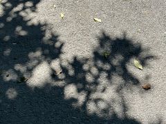 -古耳咖啡(北锣店)