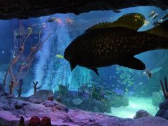 -沈阳海洋探索中心