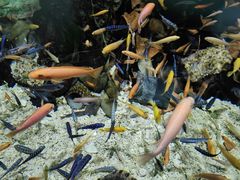 -太平洋海底世界