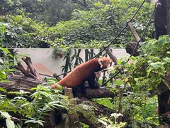 -杭州少年儿童公园