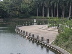 -南宁南湖公园