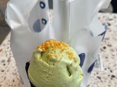 -蔻蔻椰·鲜萃椰子水(欢乐港湾店)