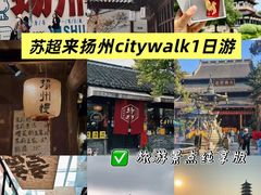 -大明寺素斋