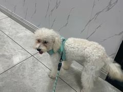 -瑞鹏瑞爱宠物医院·全科·猫科·血液透析中心(龙头寺店)