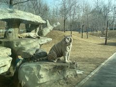 -北京野生动物园