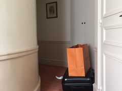 -乐蓬马歇百货公司(Rive Gauche)