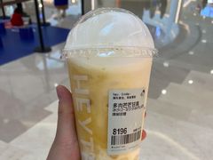 多肉芒芒甘露MAX-喜茶(青岛金狮广场店)