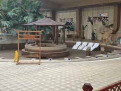 -陆地游轮吉林神农温泉