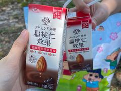-上海滨江森林公园