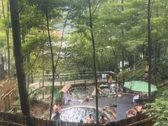 -花水湾第一村温泉大酒店