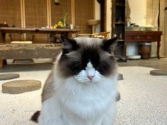 -腾冲和顺柏联酒店