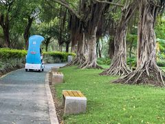 -芒洲湿地公园