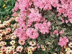 -人民公园(罗湖区)