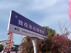 -东台西溪天仙缘景区