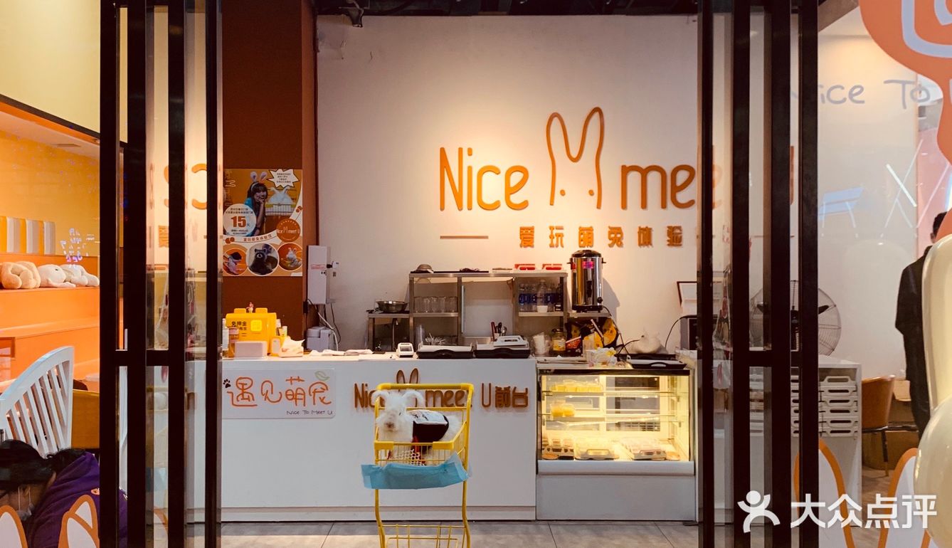 探店小记｜除了撸猫撸狗，还可以撸兔兔