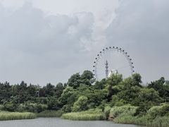 -日照海滨国家森林公园