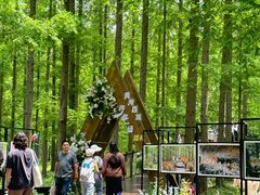 -黄海国家森林公园