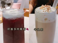 -滚猫咖啡·猫咖·猫友好撸猫(未来城店)