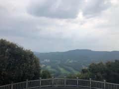 -大屏嶂森林公园